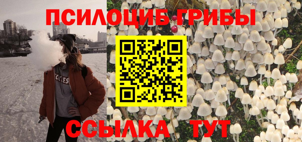 Псилоцибиновые грибы Cubensis  Вход с VPN  Десногорск 